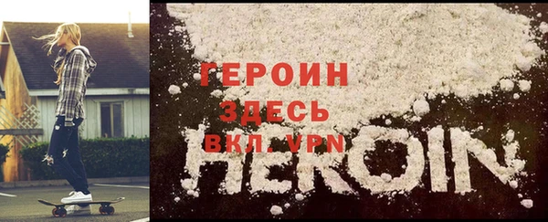 прущие грибы Переславль-Залесский