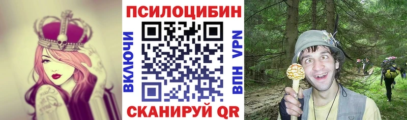 Псилоцибиновые грибы мухоморы  даркнет Telegram  Нязепетровск 